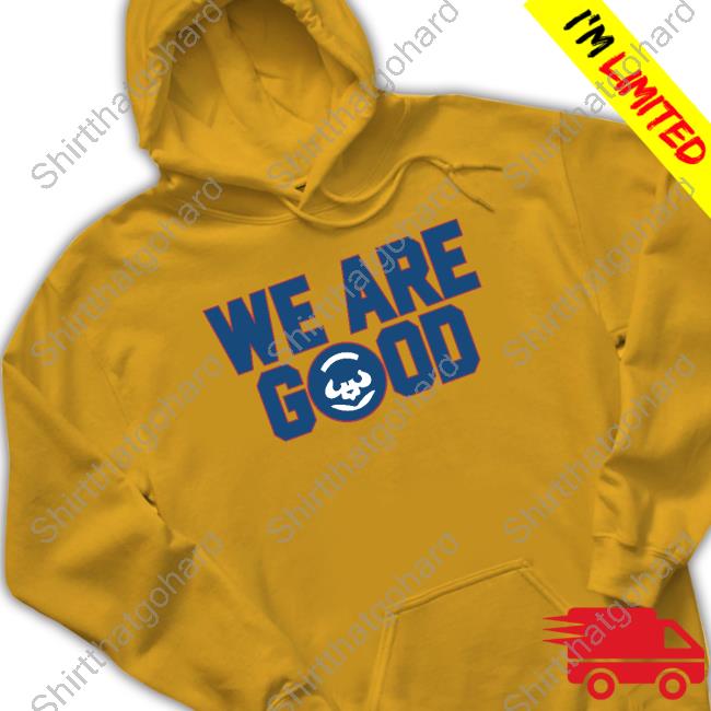We Are Good Hoodie Obvious Shirts We Are Good Shirt Big Cat