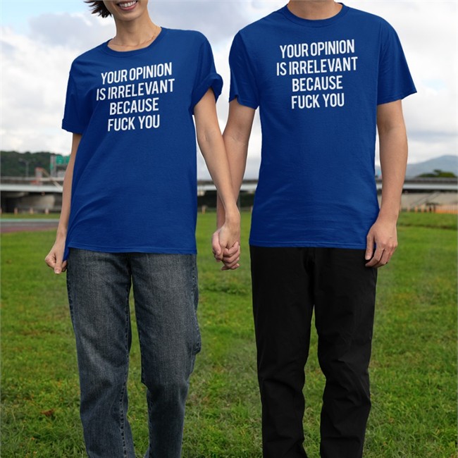 Your Opinion Is Irrelevant Because Fuck You Shirts Your Opinion Is Irrelevant Because Fuck You V Neck T Shirt Shirts That Go Hard Merch