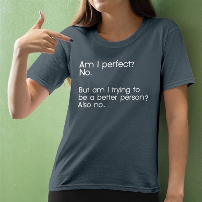Am I Perfect No But Am I Trying To Be A Better Person Also No T-Shirt Weird Thrift Store Shirts Am I Perfect No But Am I Trying To Be A Better Person Also No Tee Weird Thrift Store Shirts