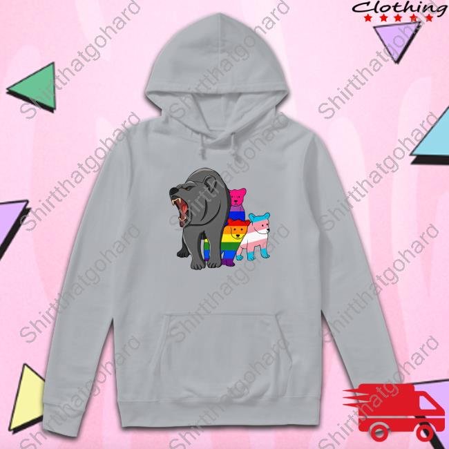 Rainbow Youth Project T Shirt Official Bear Rainbow Youth Project USA T-Shirt