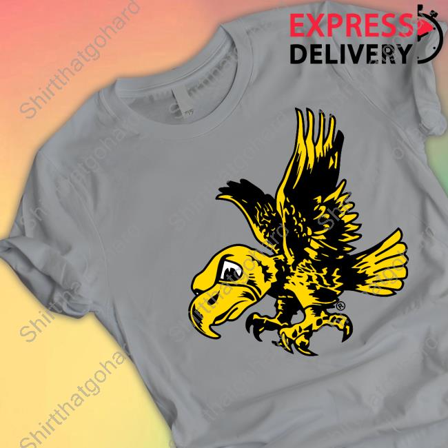 Iowa Hawkeyes Old School Logo Hoodie