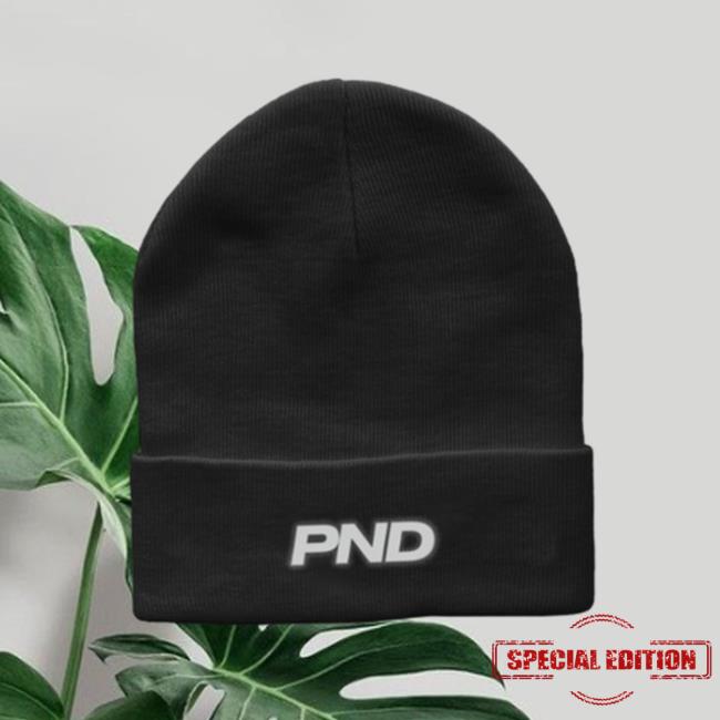 Official Party Next Door Shop Store Merch Partynextdoor PND Black Beanie Hat