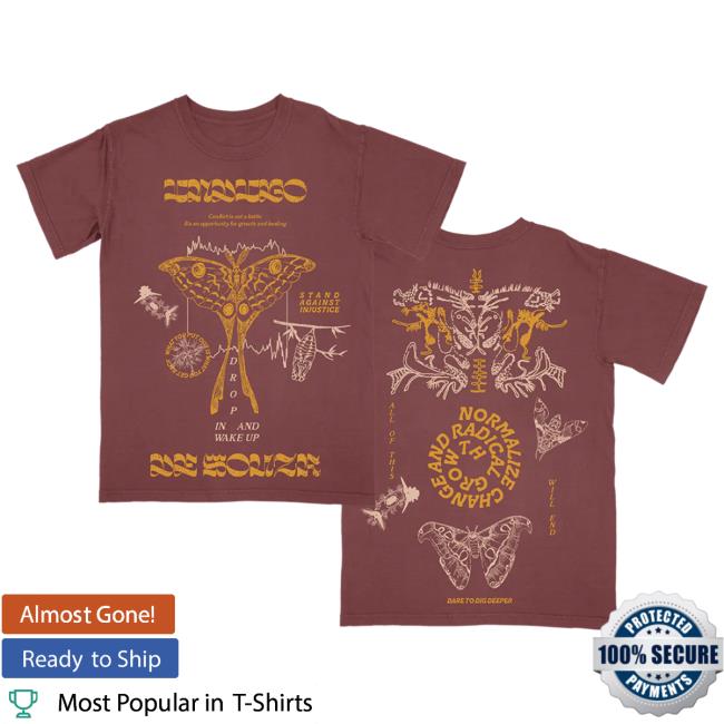 Official Hello Merch Store Indigo De Souza Metamorphosis Brick Tees Hellomerch