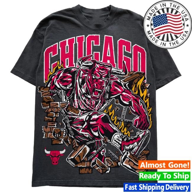Official Chicago Bulls Clothing Warren Lotas x Chicago Bulls Raging Bull Tshirt ChicagoBulls