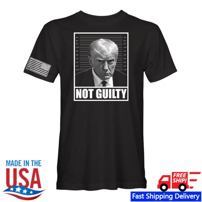 Official Officialhodgetwins Shop Trump Mugshot Tees
