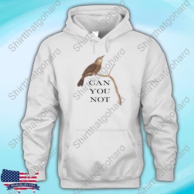 Effin Birds Merch Can You Not Effin Birds Hooded