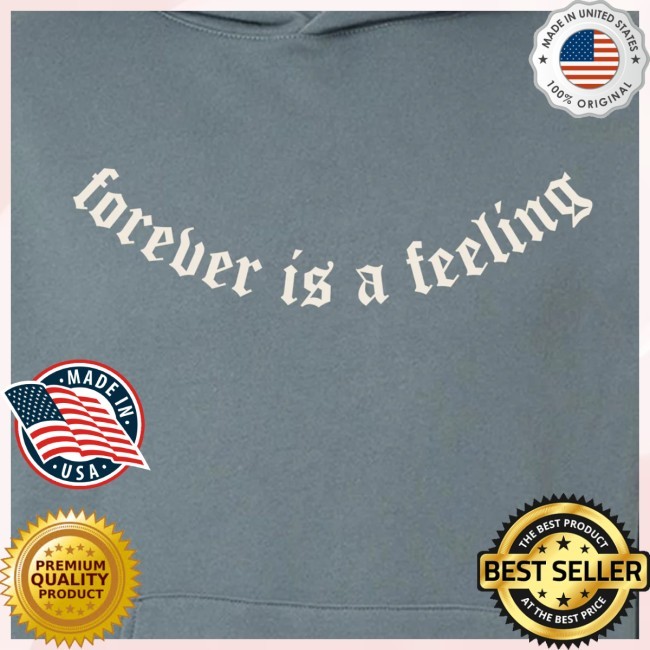 Forever Is A Feeling Embroidered Hoodie Sweatshirt Lucy Dacus Merch Store
