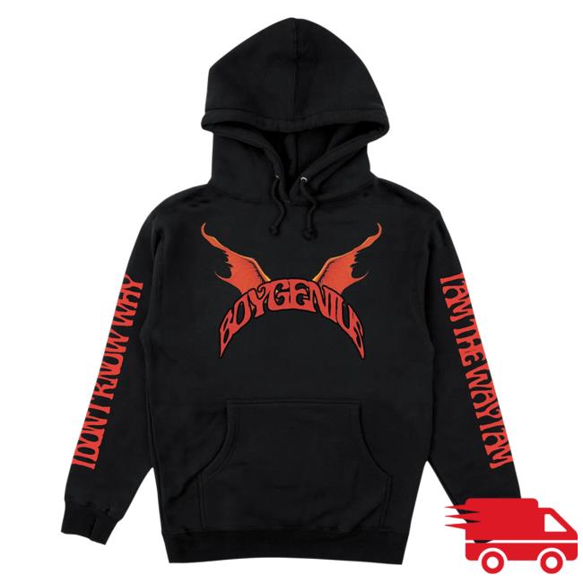Boygenius Merch Demon Hoody