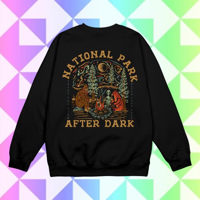 Official Fanjoy Merch National Park After Dark Npad Cryptid Campfire Black Bear Pullover Hoodie