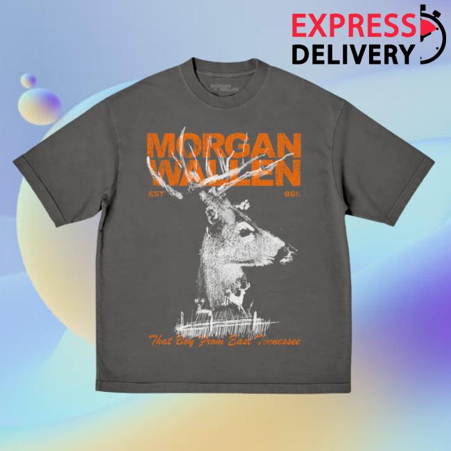Shop Morgan Wallen Merch That Boy From East Tennessee Hoodie